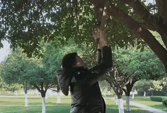 20240910_100309_301.gif