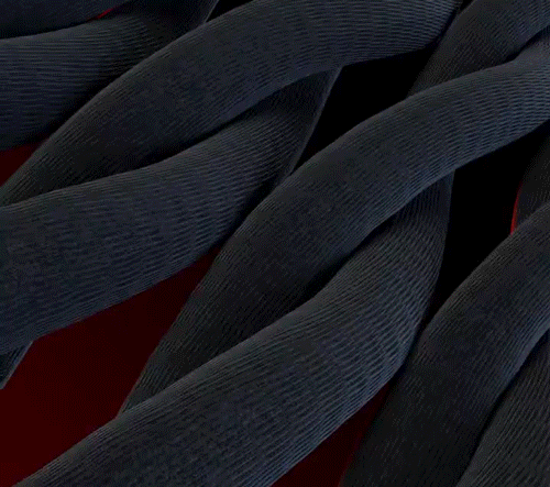 05.gif
