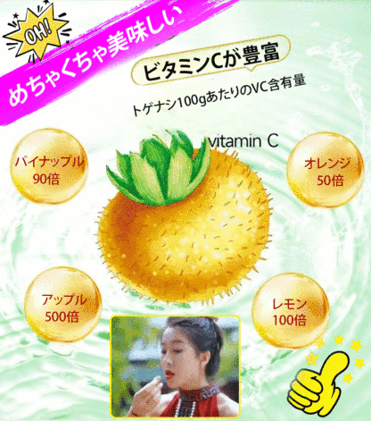 【雲貴高原産】トゲナシの砂糖漬け