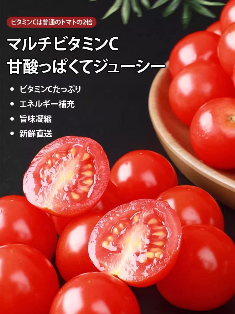 【熊本県直送】ドライミニトマト