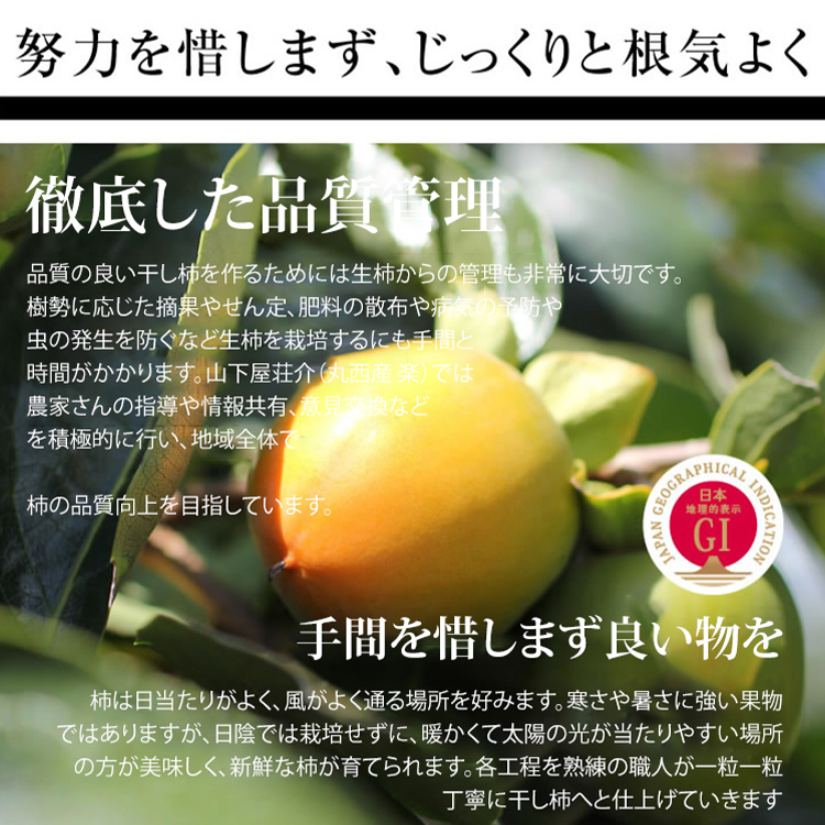 【今季限定品】干し柿