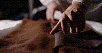 c215012dc73720e2eb8af2e272cde724.gif
