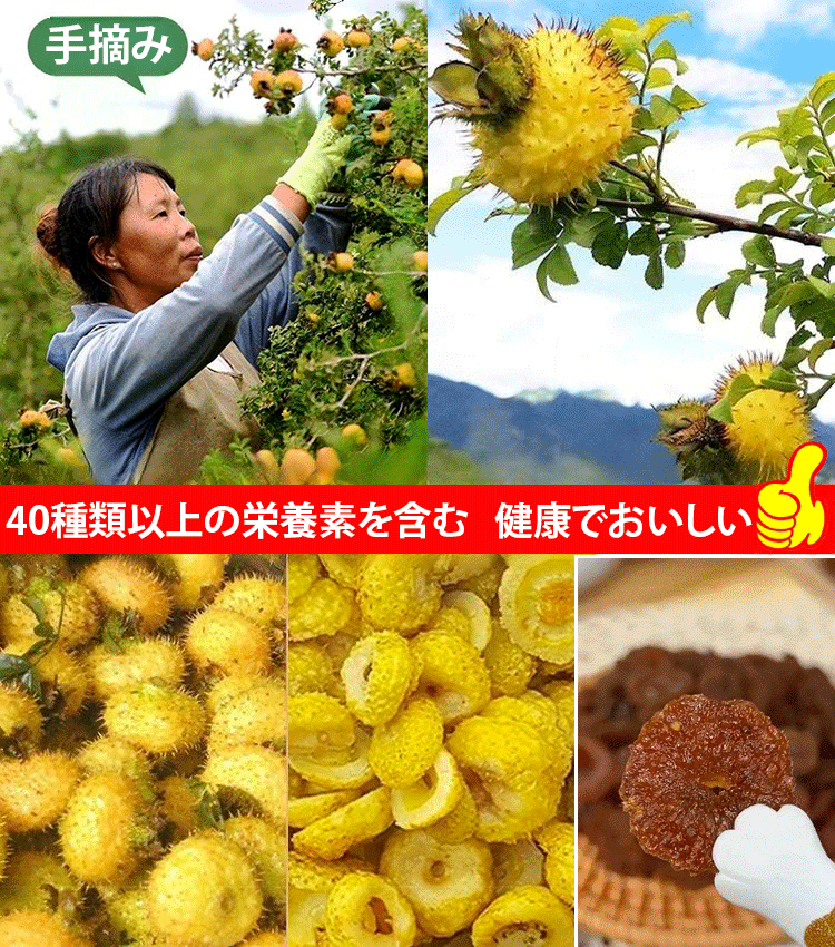 【雲貴高原産】トゲナシの砂糖漬け
