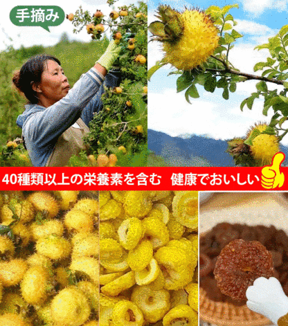 【雲貴高原産】トゲナシの砂糖漬け