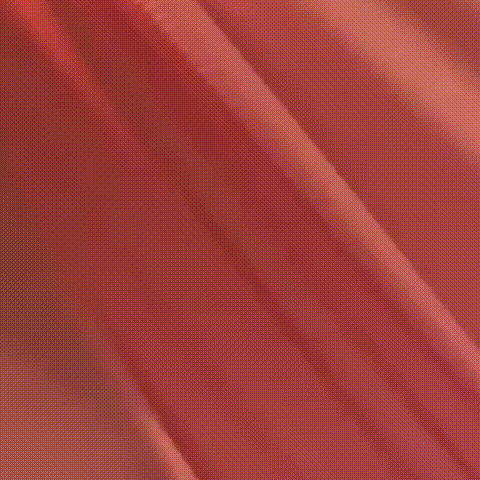 20240910_092801_042.gif