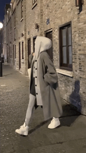 1_06-1.gif