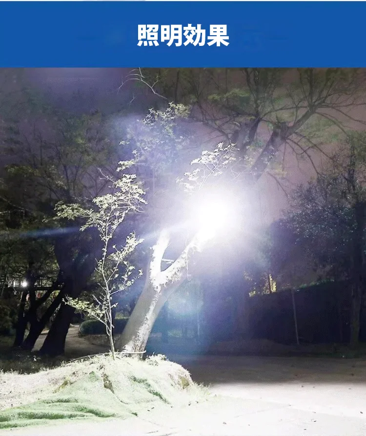 19.webp
