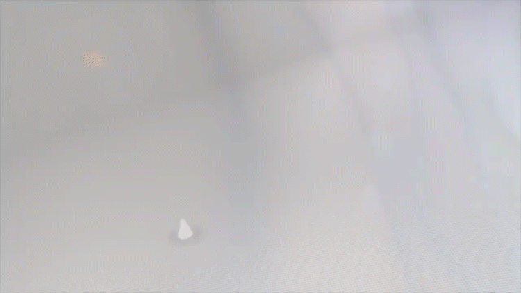20240816_101609_180.gif