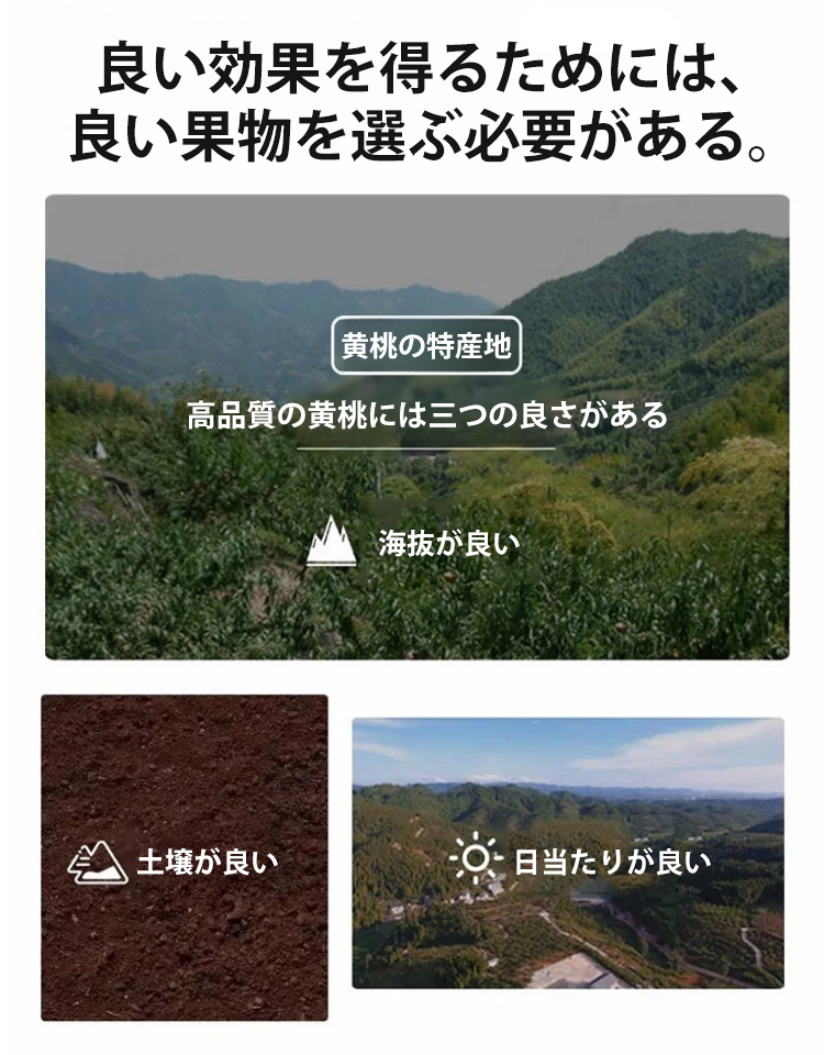 【腸を潤し便通を改善・ダイエット効果】高品質な干し黄桃