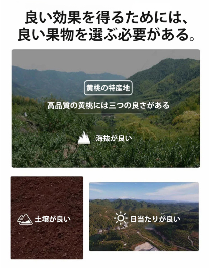 【腸を潤し便通を改善・ダイエット効果】高品質な干し黄桃