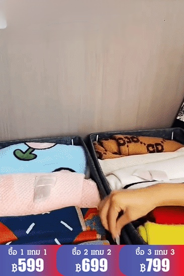 ลูกเหม็นกำจัดไรฝุ่นและฆ่าเชื้อ
