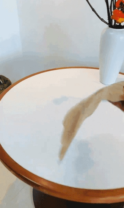 JL-防热防水防油污荷花餐垫_08-1.gif