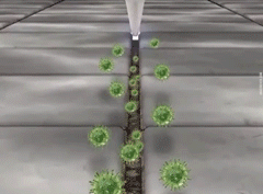 翻译件-SL-德国进口瓷砖美缝修补剂-1130416_23.gif