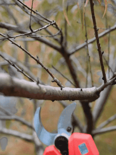 HFH-大功率无刷修枝剪_06-1.gif
