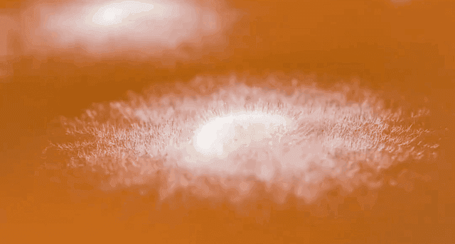 kuai_04.gif