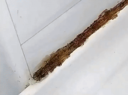 翻译件-SL-德国进口瓷砖美缝修补剂-1130416_05.gif