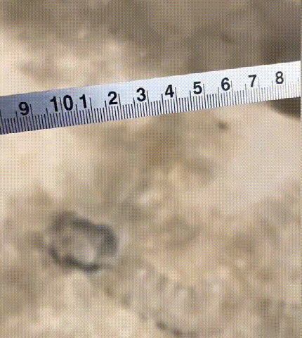 123_07.gif