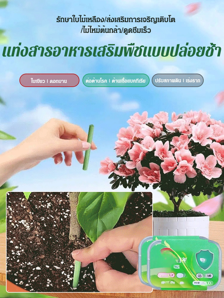 แท่งสารอาหารเสริมพืชสําหรับผักและผลไม้