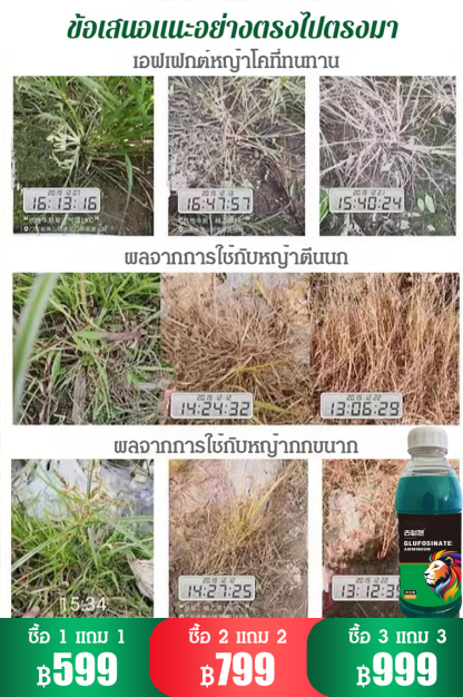 สารกำจัดวัชพืช