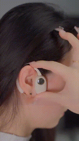 下载 (2).gif