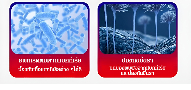 翻译件-SL-德国进口瓷砖美缝修补剂-1130416_22.jpg