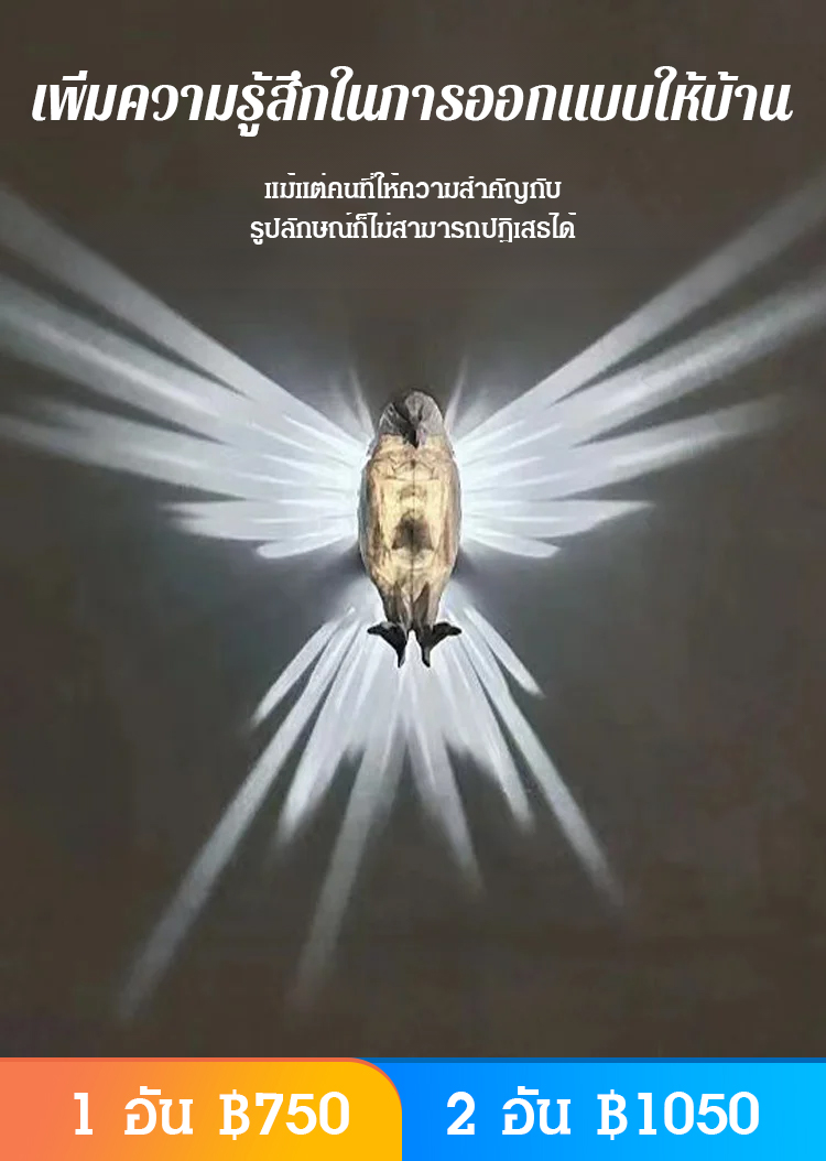 โคมไฟติดผนัง Eagle สุดเท่รุ่นใหม่ปี 2024