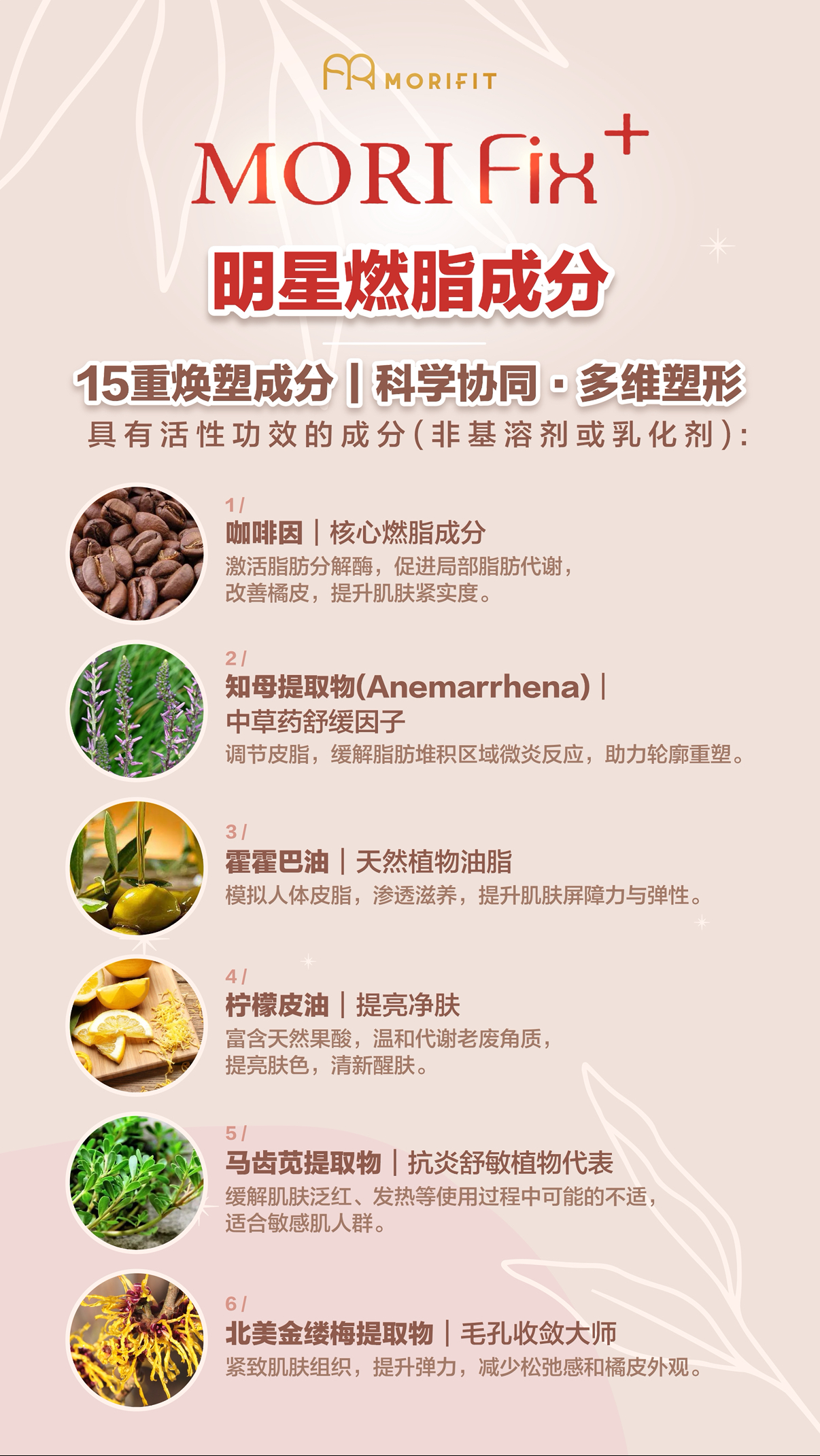 MORIFIX+ Relaxing Firming Massage Gel 冷干科技外用瘦身凝胶