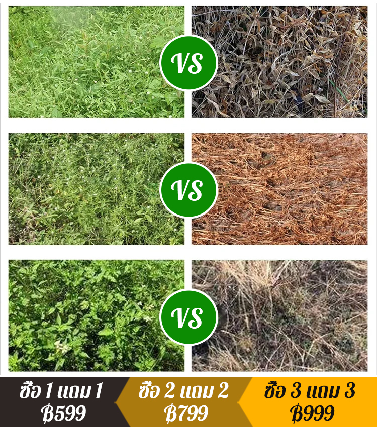 ยากำจัดวัชพืชอเนกประสงค์
