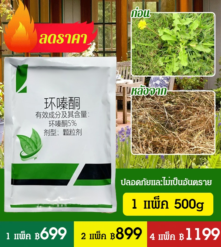 ยากำจัดวัชพืชไม้ไผ่ต้นใหญ่