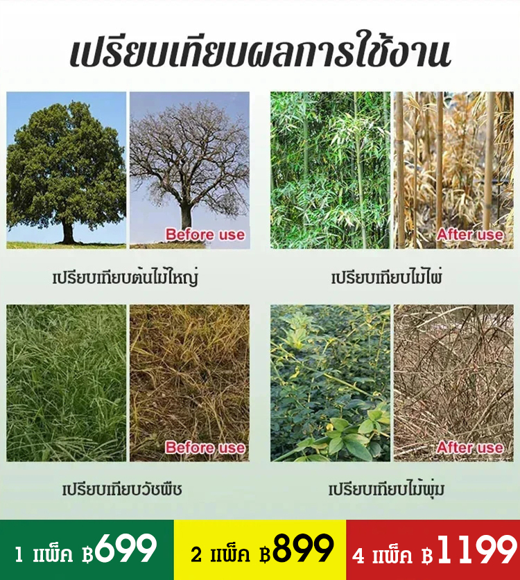 ยากำจัดวัชพืชไม้ไผ่ต้นใหญ่