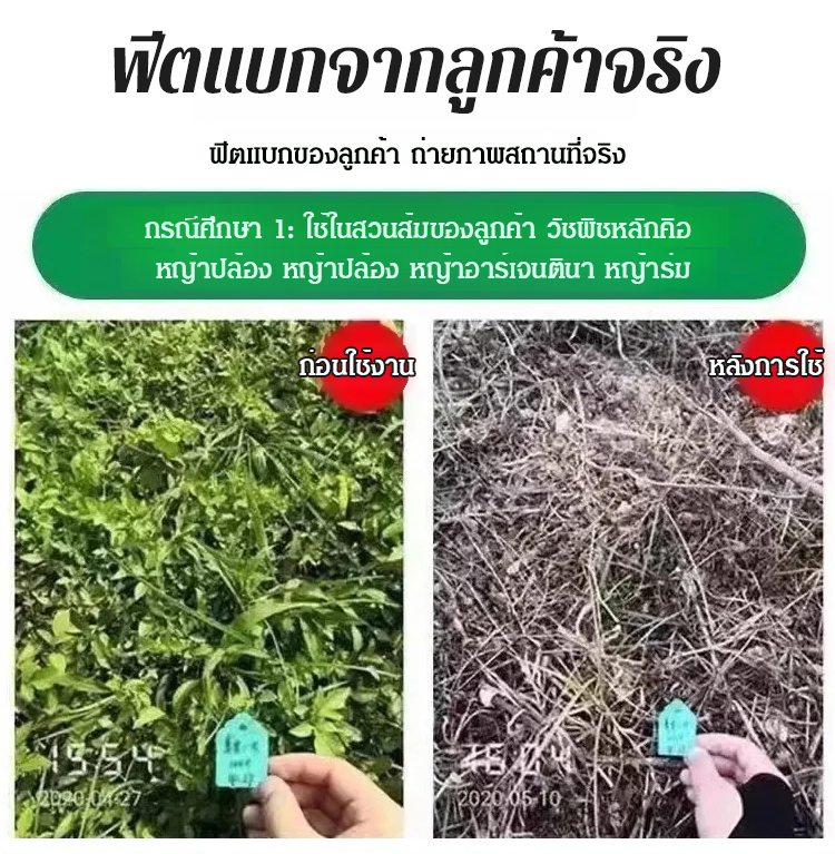 泰语_21.jpg