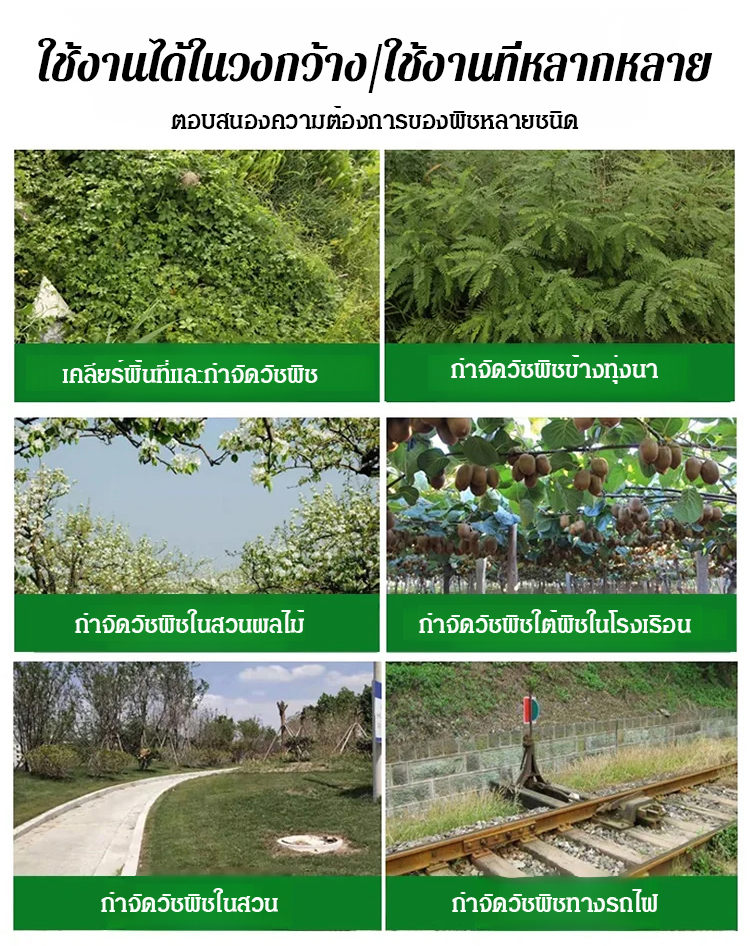 泰语_24.jpg