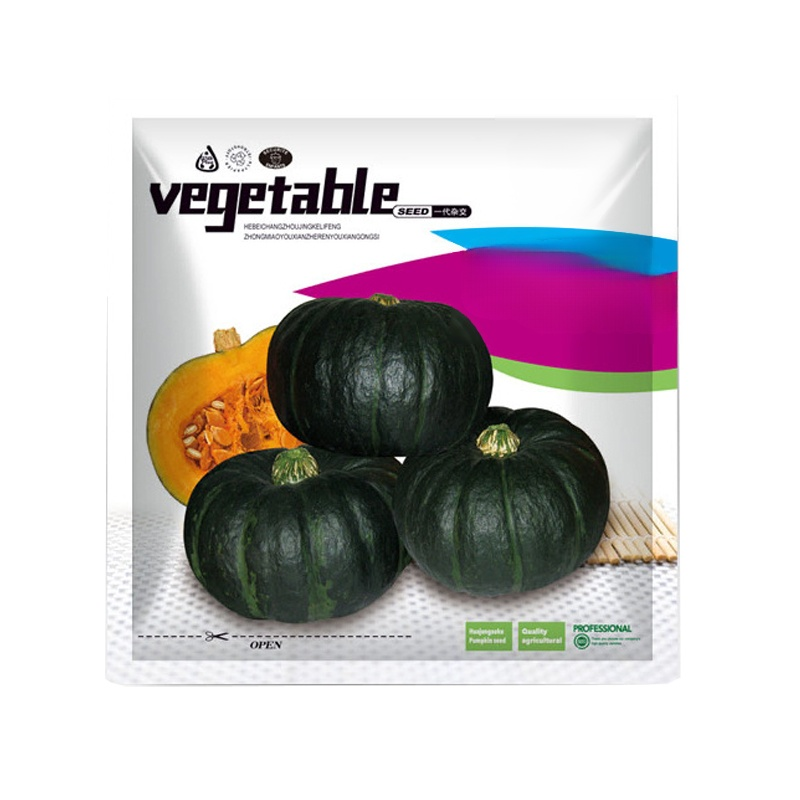 [ได้ผลเต็ม] เมล็ดฟักทองญี่ปุ่น สีเขียวดำ ทดแทนอาหาร