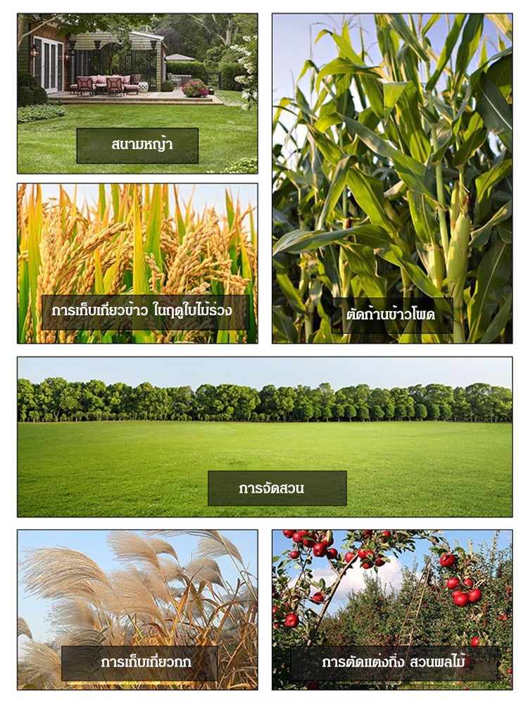 [มอเตอร์ทองแดงเต็ม] เครื่องตัดหญ้ามือถือแบบพกพา