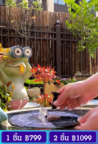 ปั๊มน้ำพุพลังงานแสงอาทิตย์ แบบมีทุ่นลอย