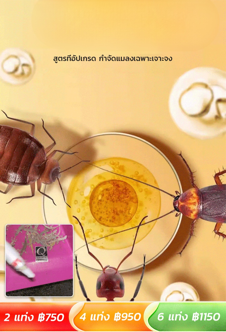 【ขายดี TT 】เหยื่อเจลกำจัดตุ๊กแก