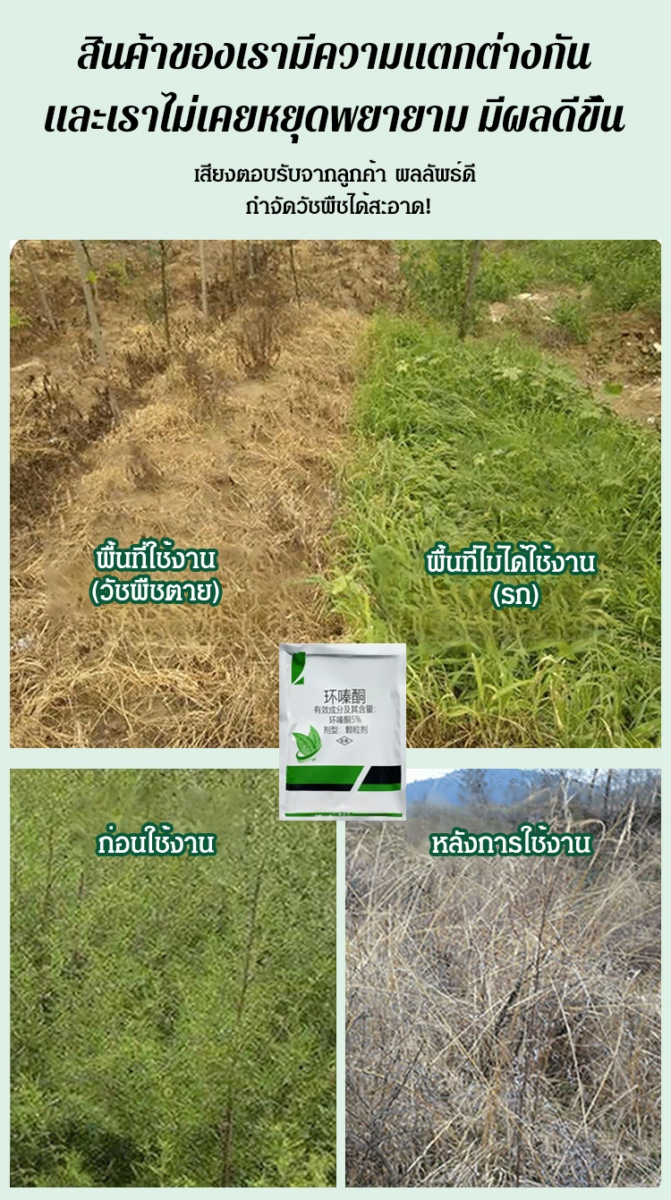 HQL-大树竹子除草剂_14.jpg