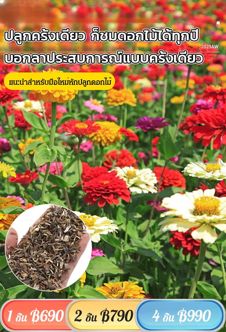 【ทุ่งดอกไม้สีสันหลากสี】เมล็ดพันธุ์ดอกไม้รวม