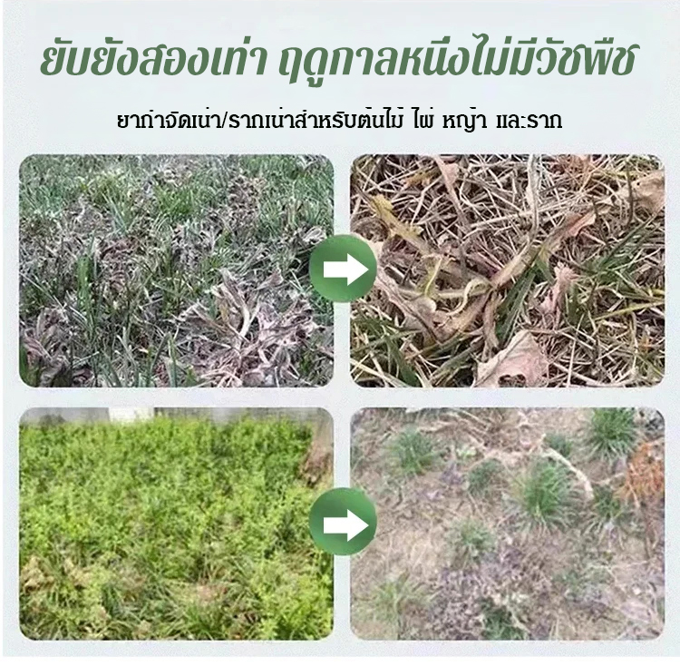 泰语_22.jpg