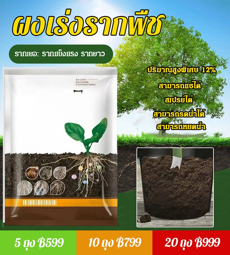 ผงเร่งรากผักแข็งแกร่ง