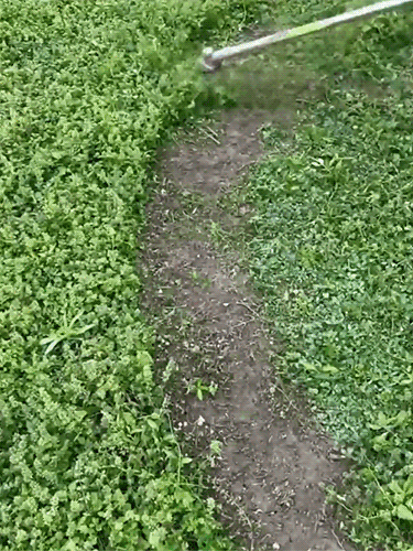 [มอเตอร์ทองแดงเต็ม] เครื่องตัดหญ้ามือถือแบบพกพา