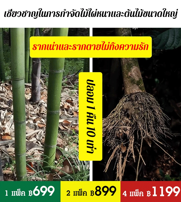 ยากำจัดวัชพืชไม้ไผ่ต้นใหญ่