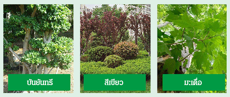 HQL-大树竹子除草剂_18.jpg