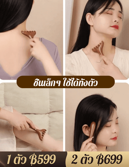 หวีนวดเส้นเมริเดียน 6 ซี่ ไม้จันทน์