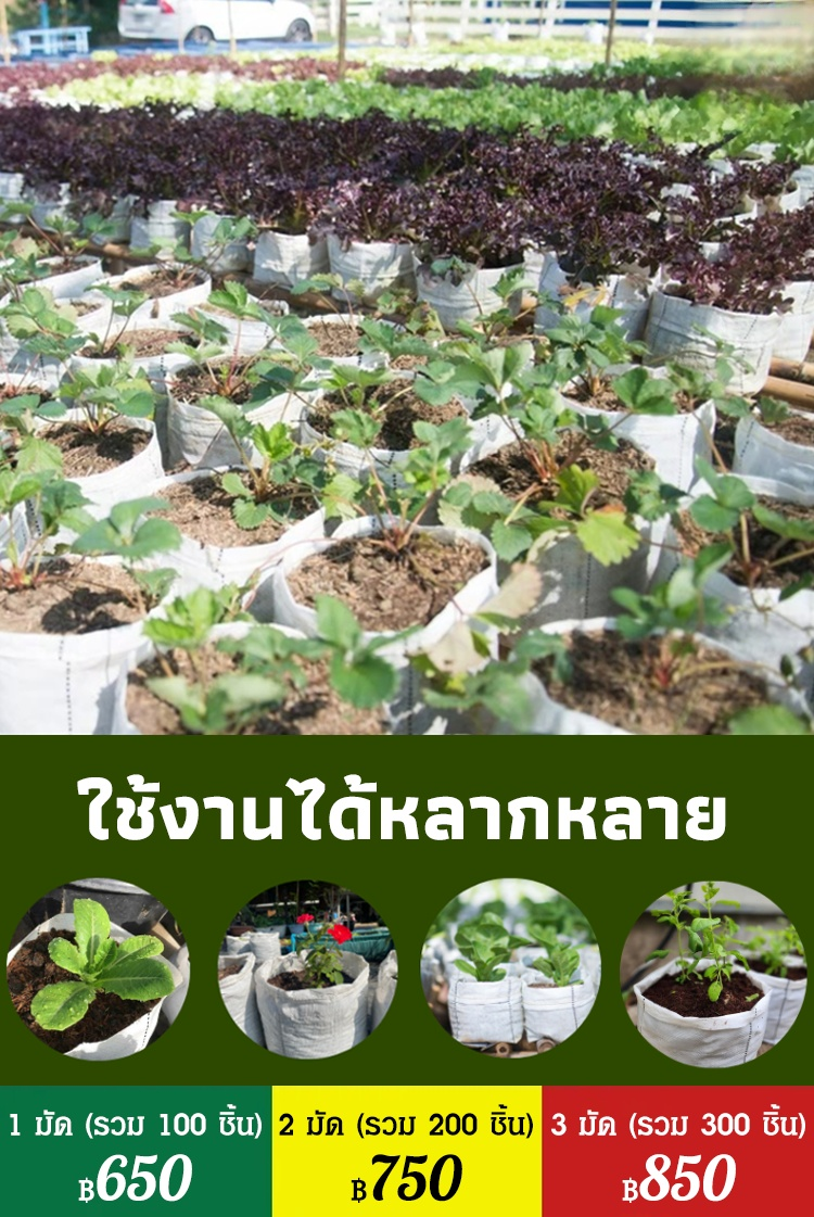 【สวรรค์แห่งการเพาะปลูก】ถุงปลูกต้นกล้าที่ย่อยสลายได้