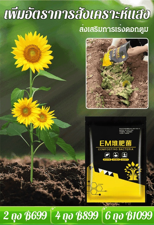 【ไอเทมดีสำหรับปลูกพืช】 จุลินทรีย์ EM หมักปุ๋ยด้วยเศษอาหาร
