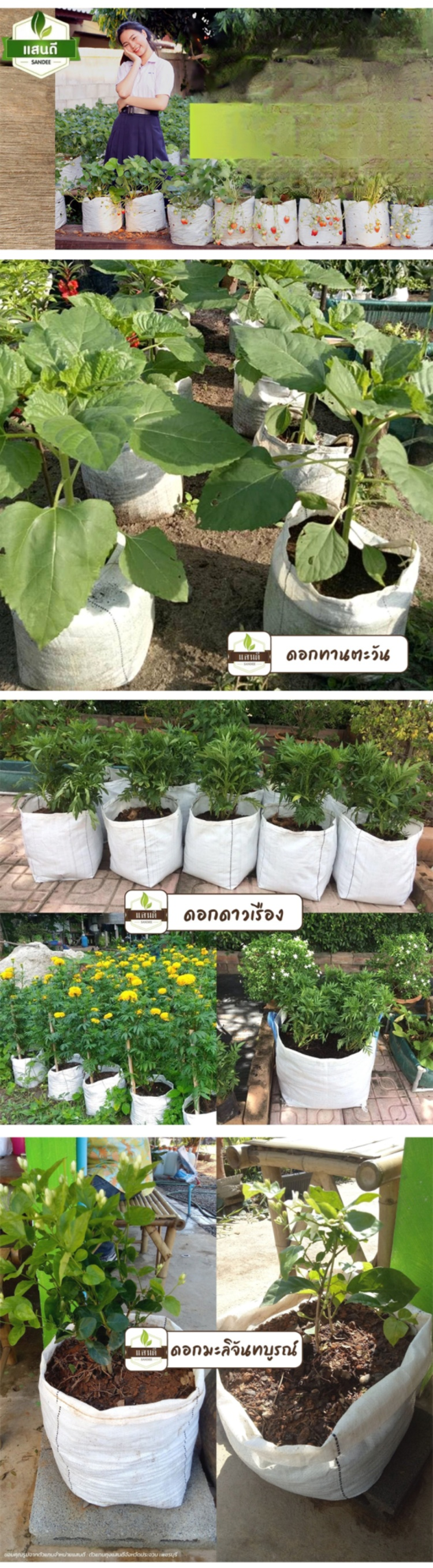 HFH-【神农附体】可降解树苗种植袋_14.jpg