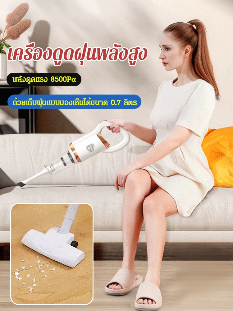 เครื่องดูดฝุ่นกำจัดไรพลังสูงในครัวเรือน