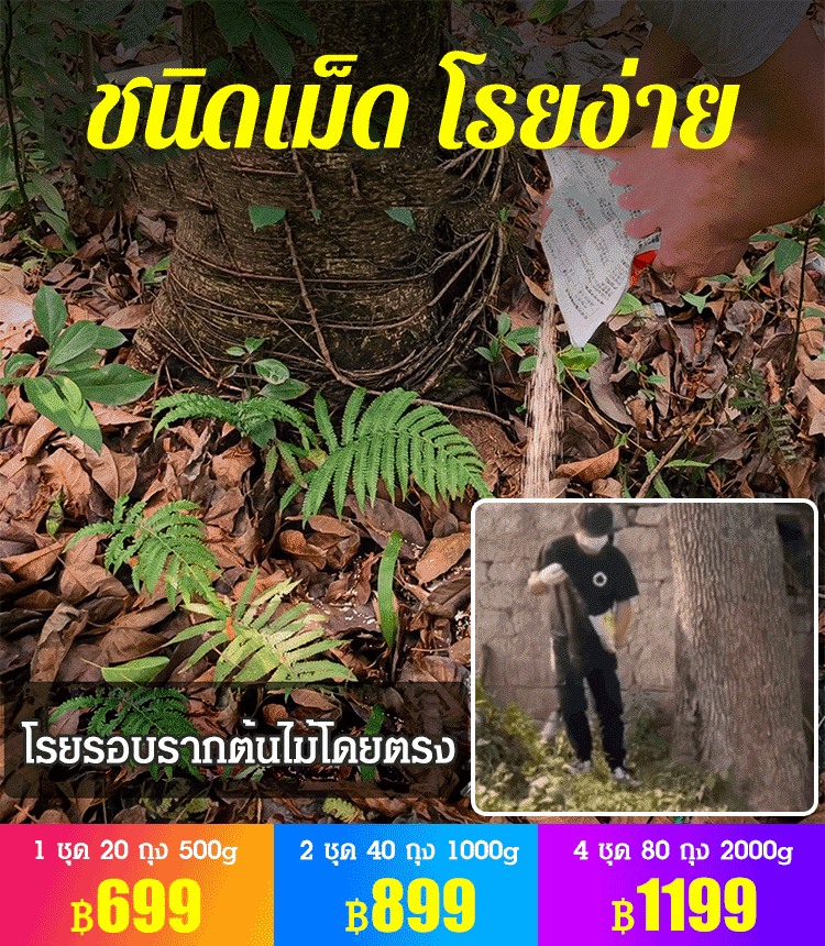 อุปกรณ์ทำสวน