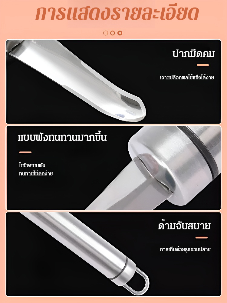 ที่คว้านเม็ดลำไยสแตนเลสอเนกประสงค์